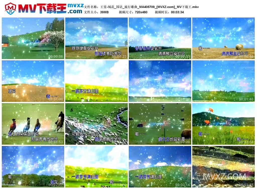 王雯-绒花_国语_流行歌曲_MA405709